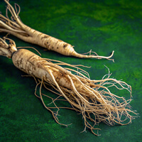 Asian Ginseng